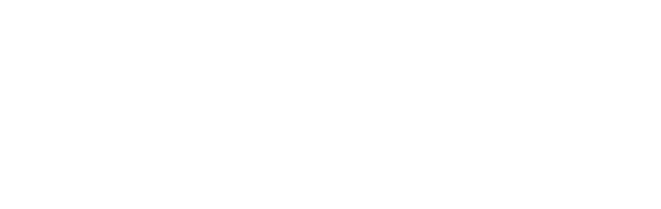 Bizweni High School logo